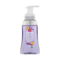 Coles Foaming Hand Wash Passionfruit 250mL