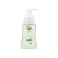 Coles Foaming Hand Wash Lime & Mint Antibacterial  250mL